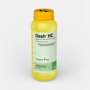 Dash HC